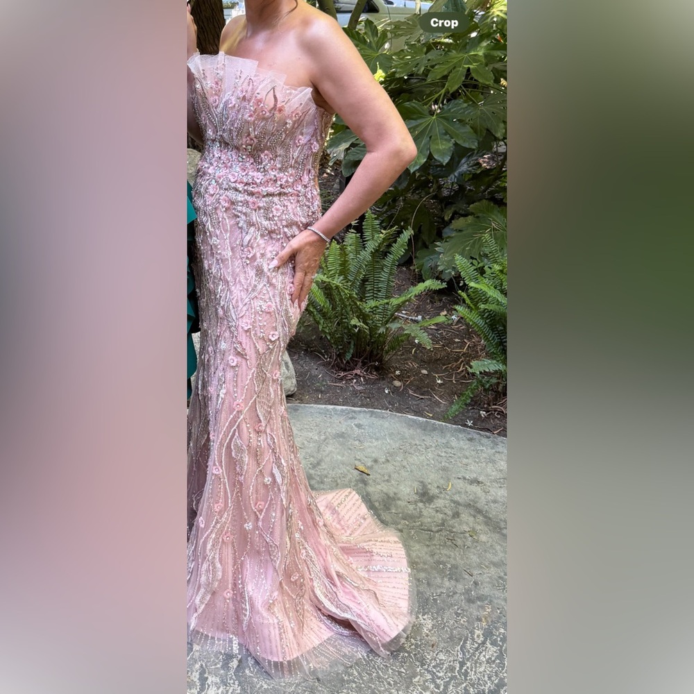 Terani Couture Gown 242GL3248 Blush Size 4